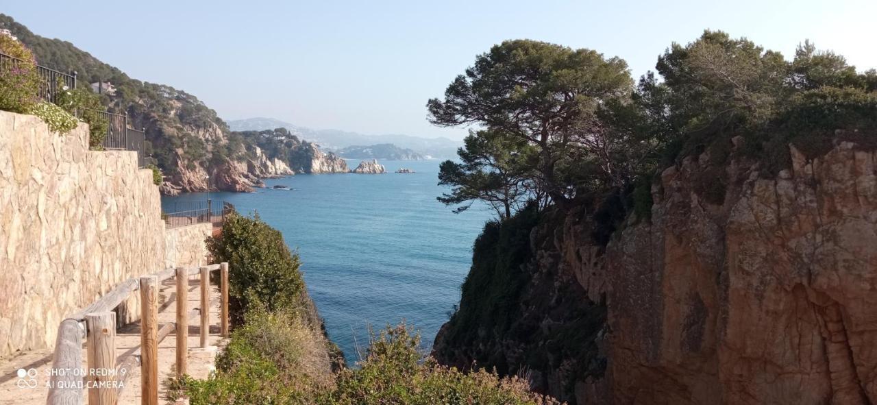 Villa Blanca 10 Minutos De La Playa Costa Brava Massanet De La Selva 外观 照片