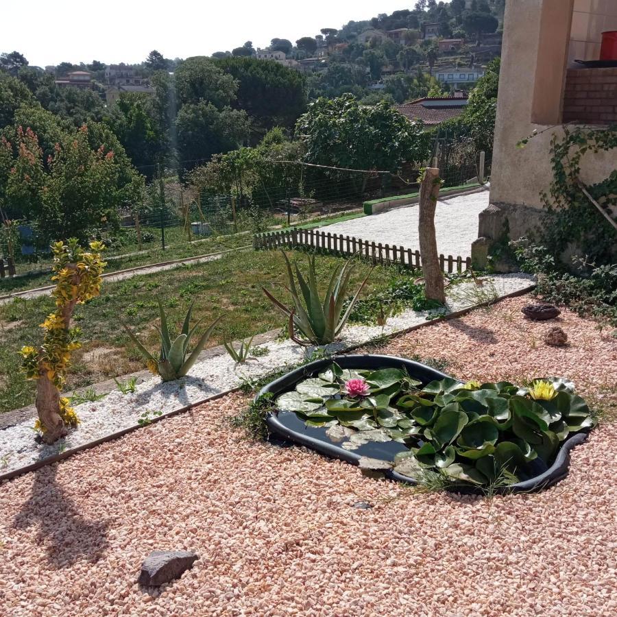 Villa Blanca 10 Minutos De La Playa Costa Brava Massanet De La Selva 外观 照片